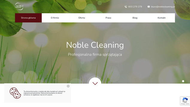 www.noblecleaning.pl
